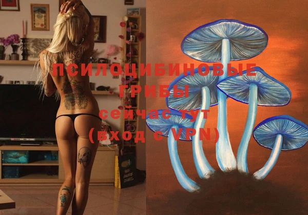 MESCALINE Инта