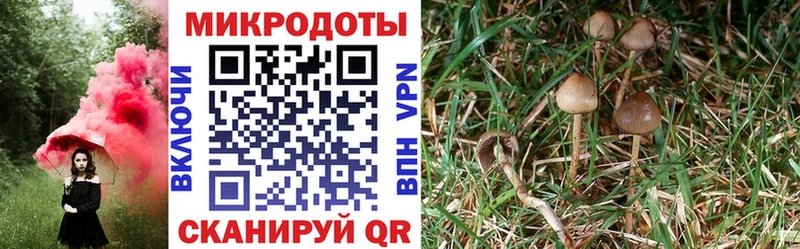 Псилоцибиновые грибы мухоморы  Абдулино 